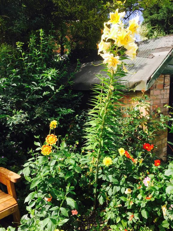 Fairlight Lodge Кингс-Линн Экстерьер фото